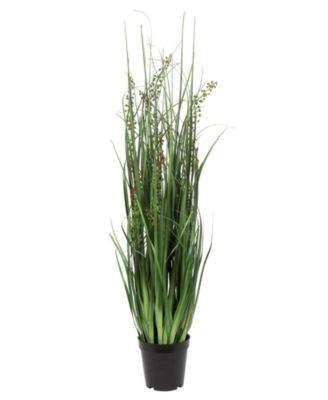Vickerman