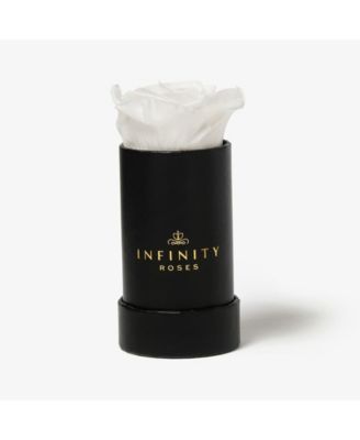 Infinity Roses