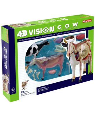 4D Master
