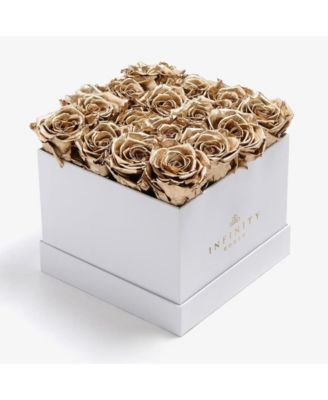 Infinity Roses