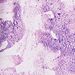 Purple Cactus Flower Tonal Dye Print