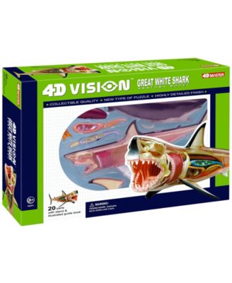 4D Master