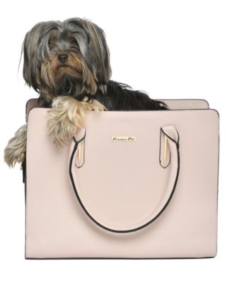 Parisian Pet
