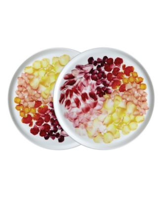 Twig New York - Petals 8.5" Salad Plates