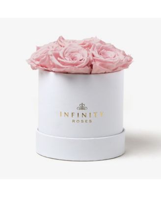 Infinity Roses