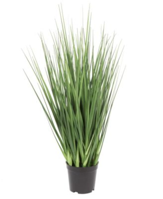 Vickerman